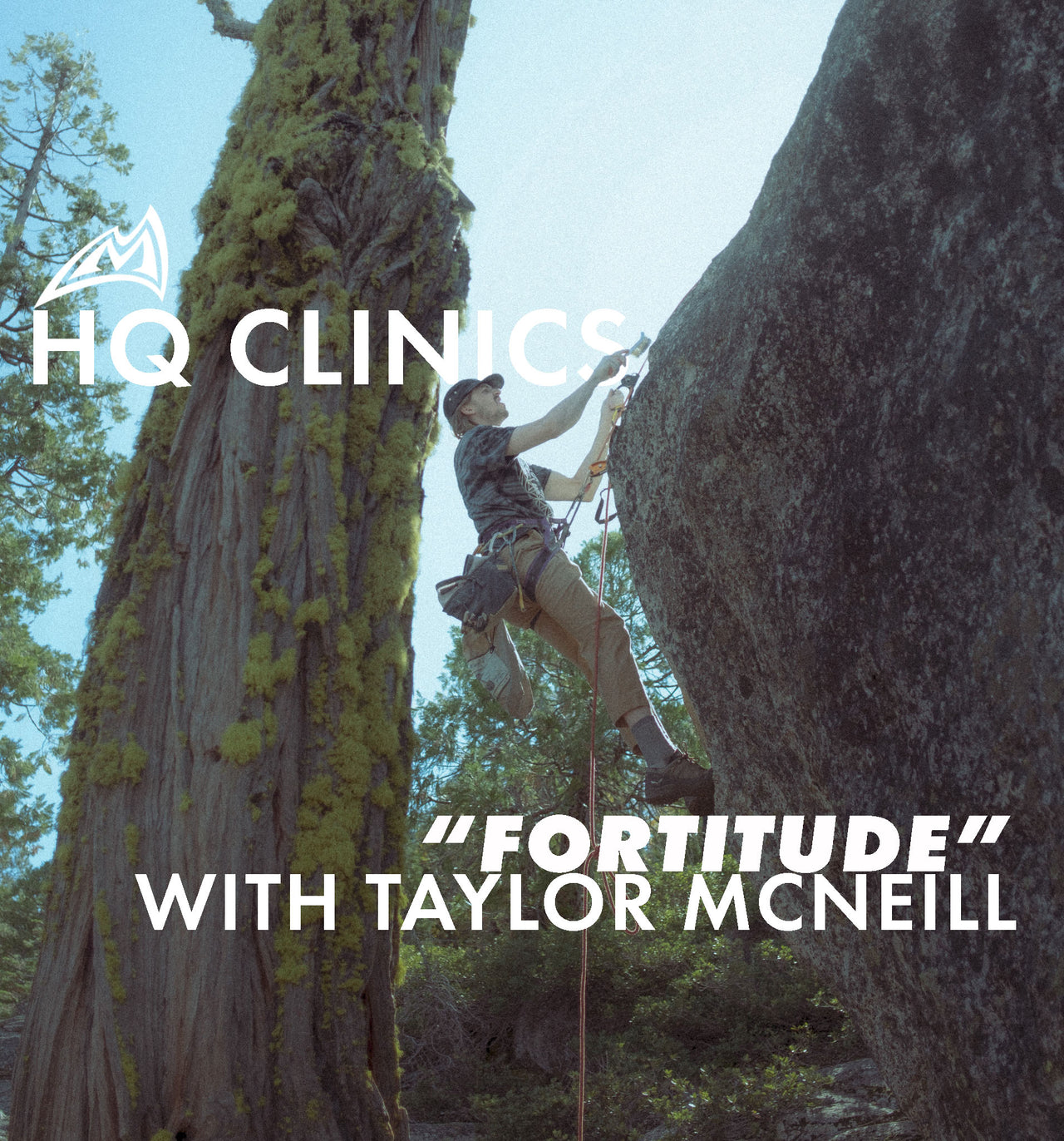 TAYLOR MCNEILL CLINIC - FORTITUDE