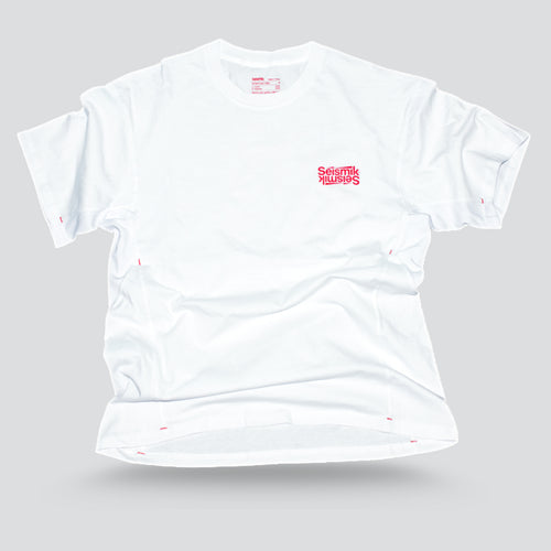 Seismik - Surface Crack 03