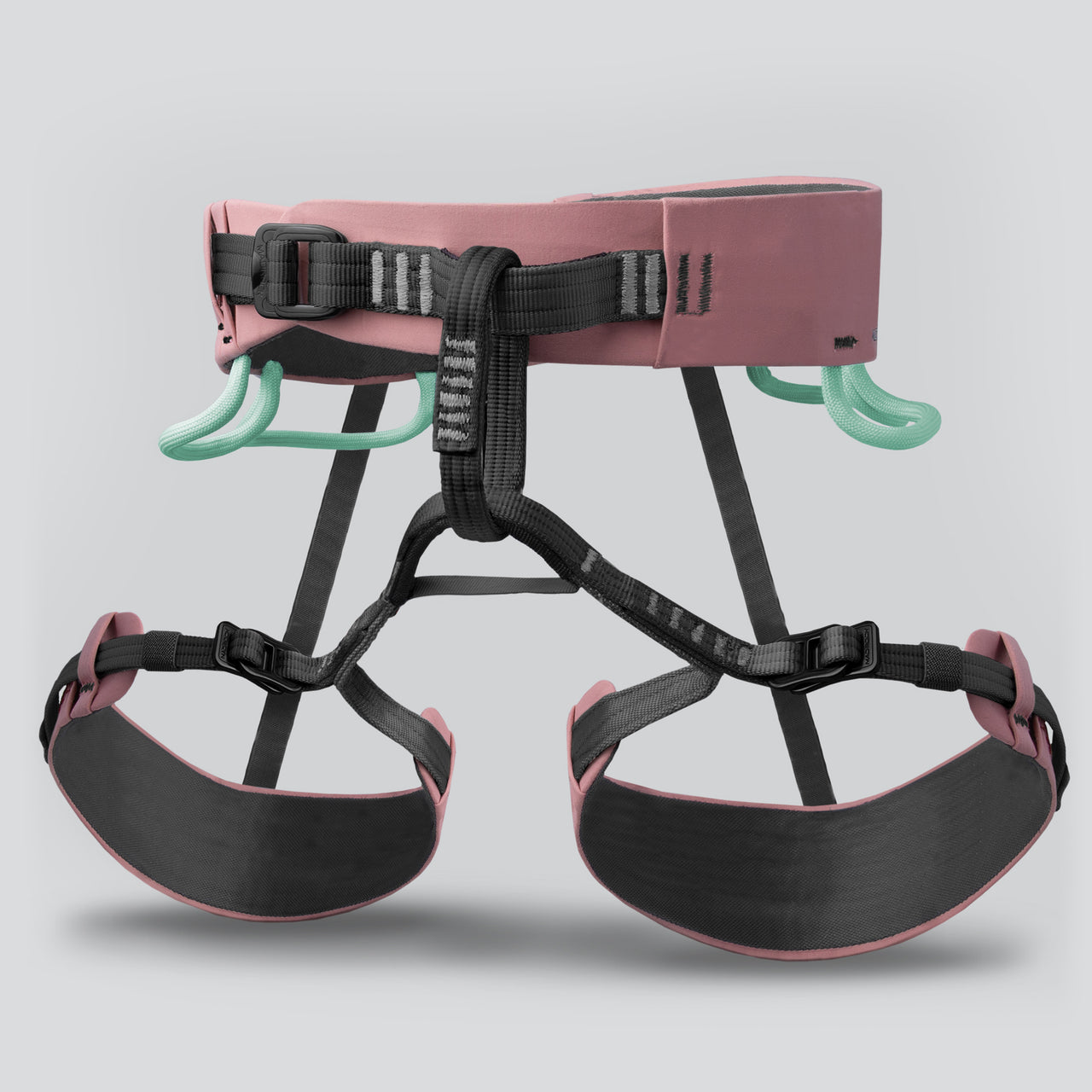 Venus 5