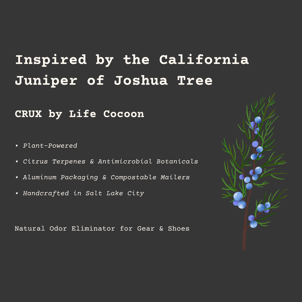 Life Cocoon - Deodorizing Spray