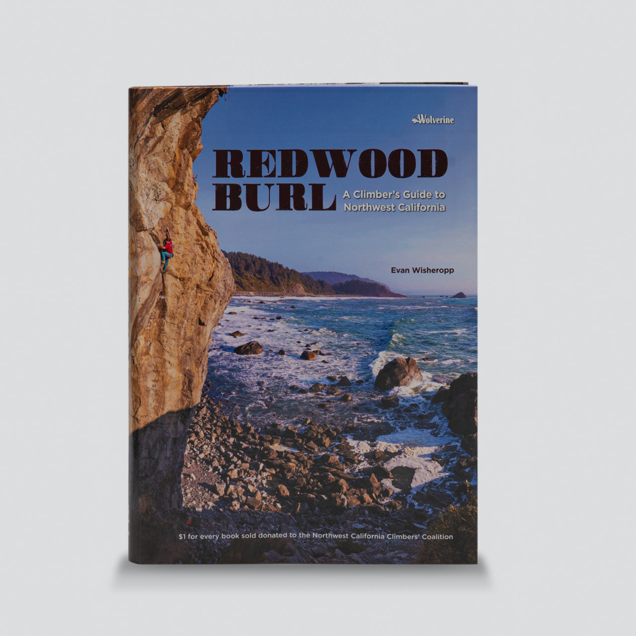 Guidebook - Redwood Burl