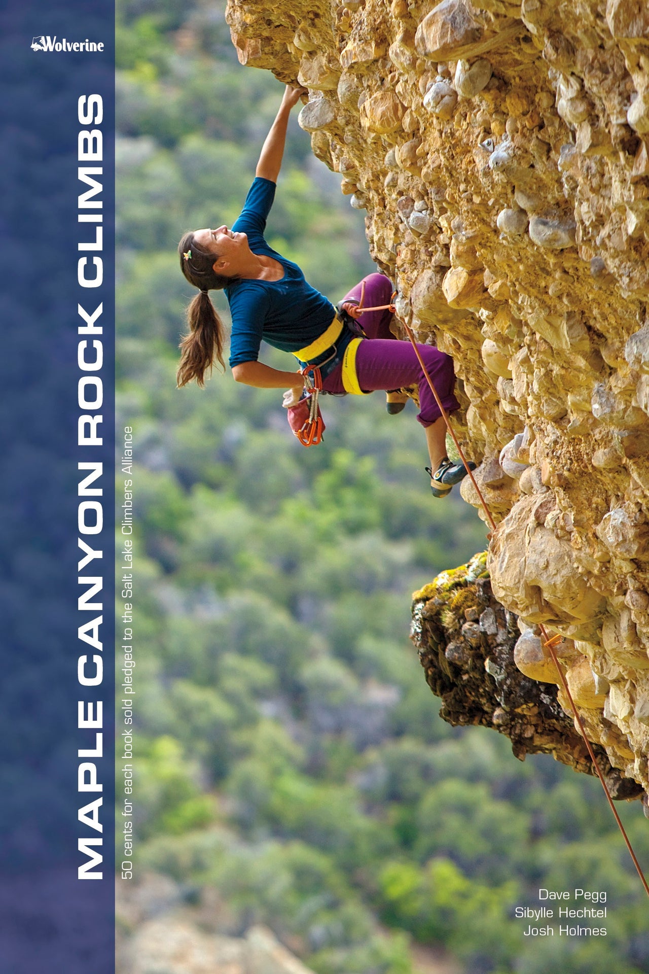 Guidebook - Maple Canyon Rock Climbs